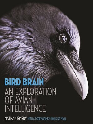 cover image of Bird Brain